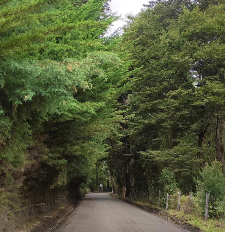 Cabana Ensenada, Puerto Varas - 1 Ambiente Exteriér fotografie